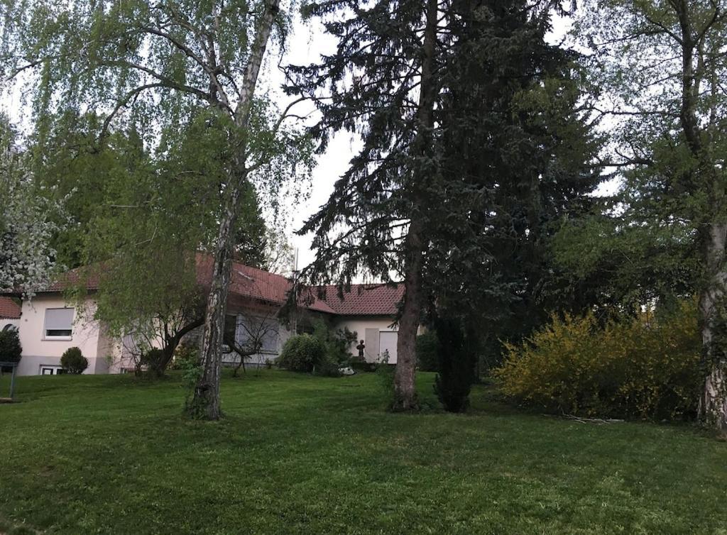 Schoene Ferienwohnung 2,5 Zimmer In Stadtnaehe Mit Eigenem Hofgarten Балинген Экстерьер фото