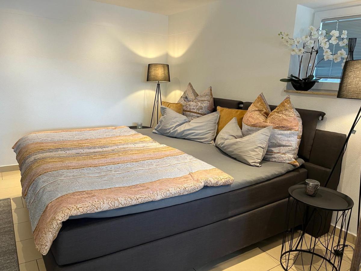 Schoene Ferienwohnung 2,5 Zimmer In Stadtnaehe Mit Eigenem Hofgarten Балинген Экстерьер фото